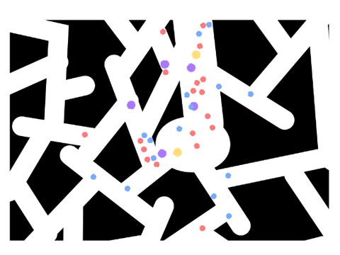 random movement evelution simulator